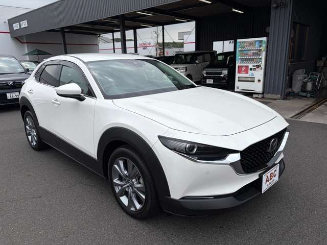 Mazda CX-30 9