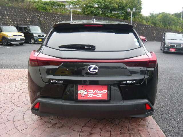 Lexus UX 10