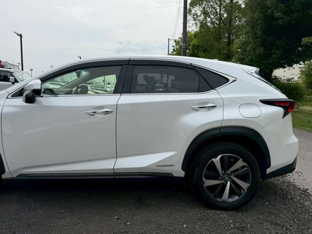 Lexus NX 12