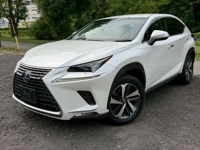 Lexus NX 6