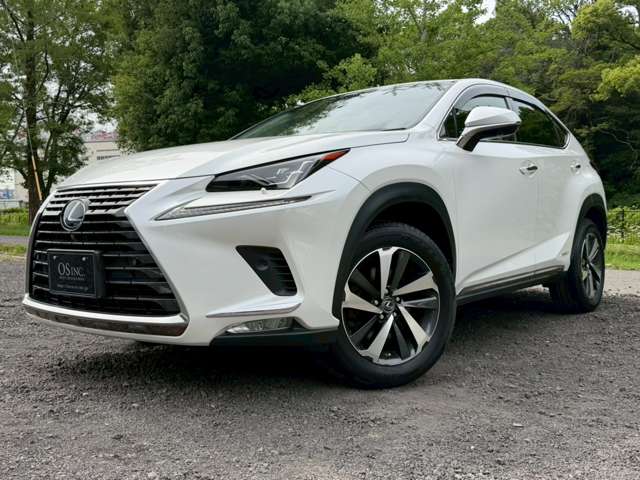 Lexus NX 7