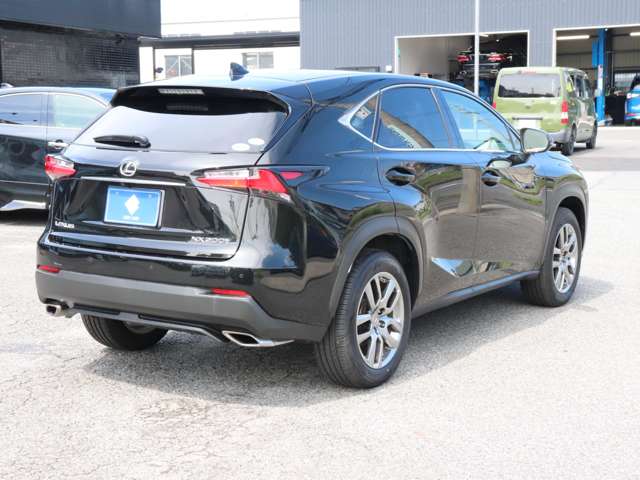 Lexus NX 11