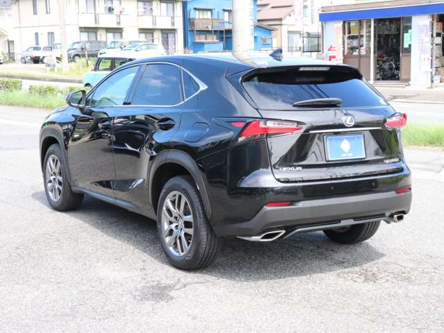 Lexus NX 12