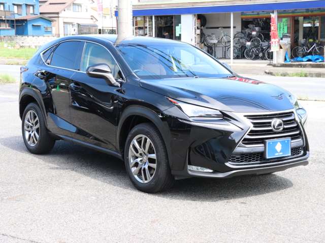 Lexus NX 10