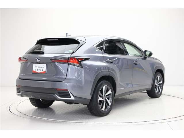 Lexus NX 4