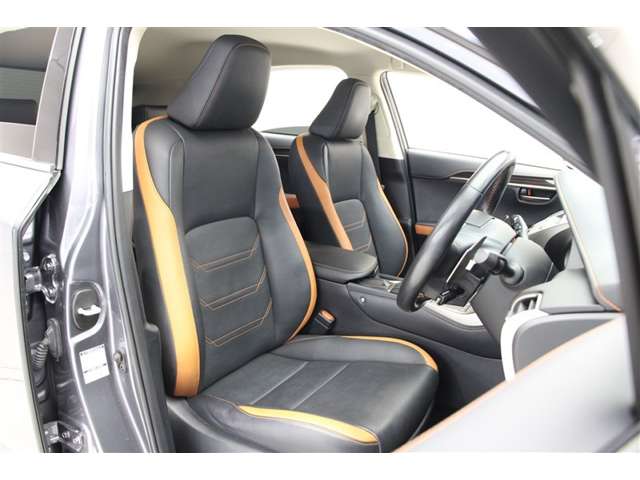 Lexus NX 6