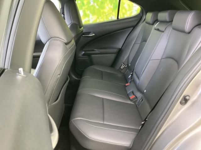 Lexus UX 9