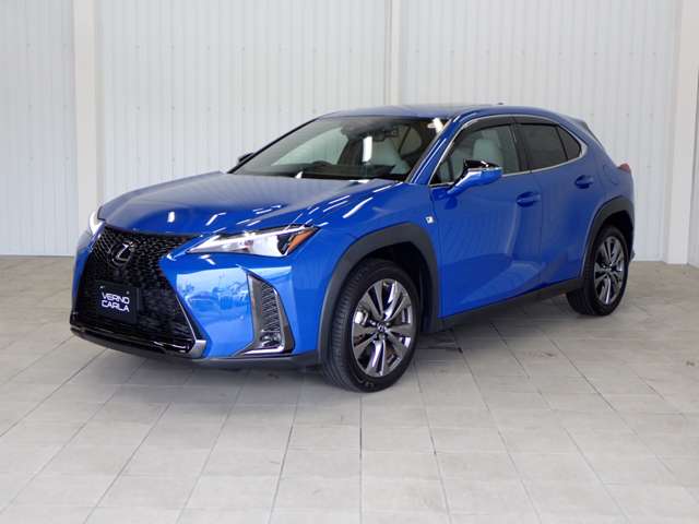 Lexus UX 11