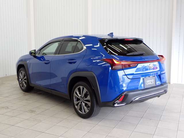 Lexus UX 12
