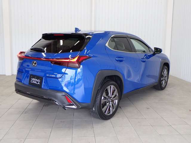 Lexus UX 9