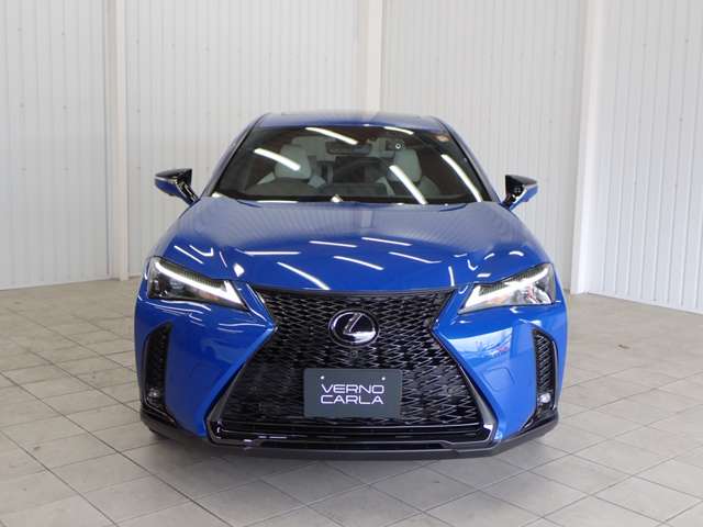 Lexus UX 10