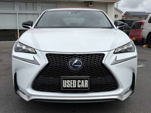 Lexus NX 12