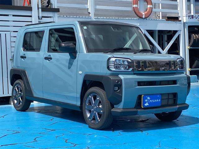 Daihatsu Taft 8