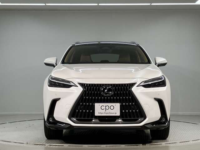 Lexus NX 2