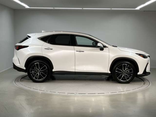 Lexus NX 3