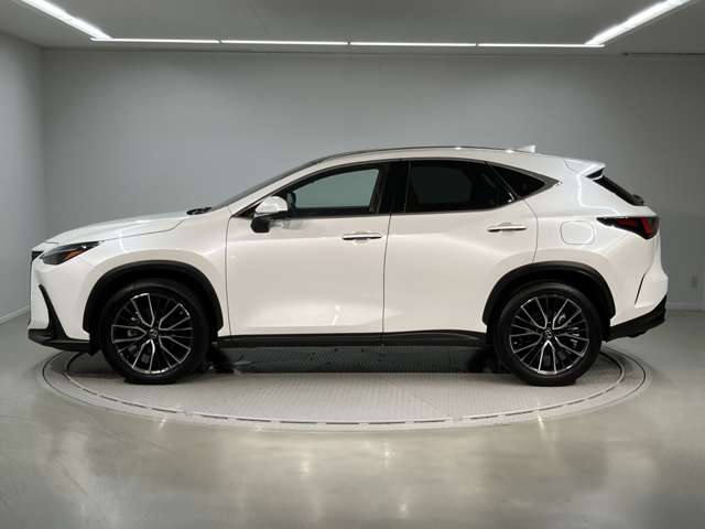 Lexus NX 4