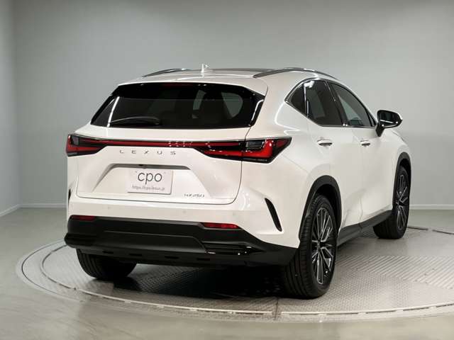 Lexus NX 5