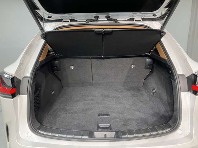 Lexus NX 6