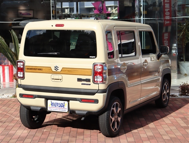 Suzuki Hustler 6