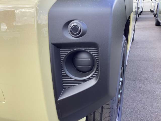 Daihatsu Taft 12