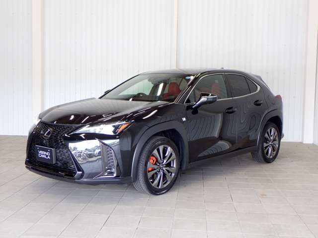 Lexus UX 11