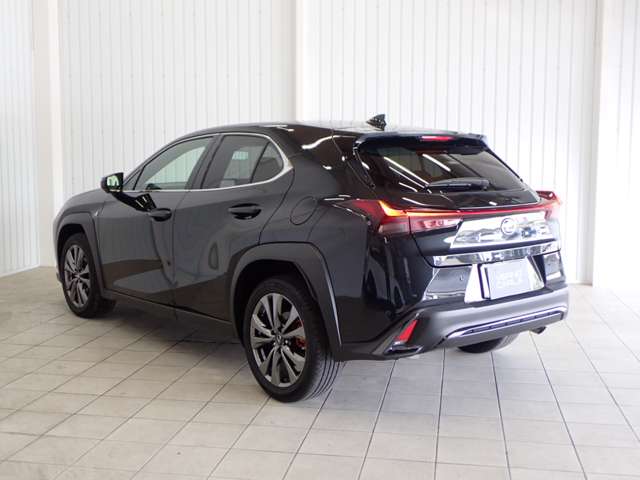 Lexus UX 12