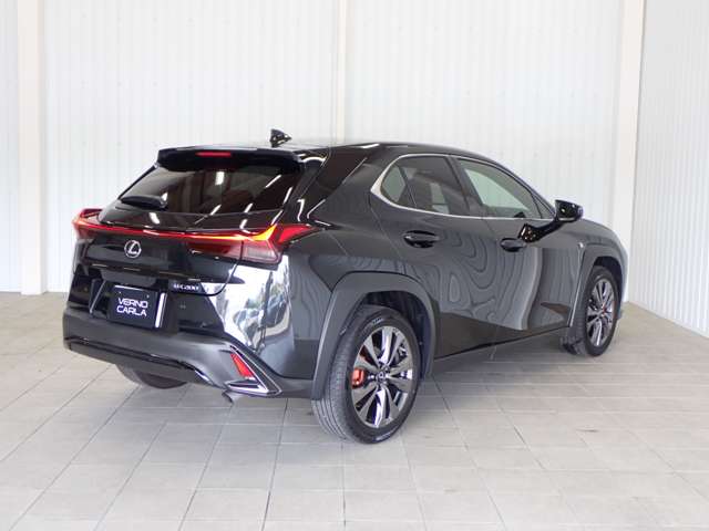 Lexus UX 9