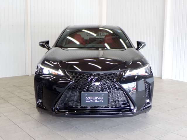 Lexus UX 10