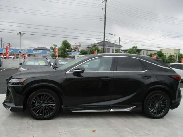 Lexus RX 11