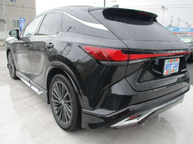 Lexus RX 12