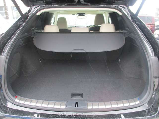 Lexus RX 9