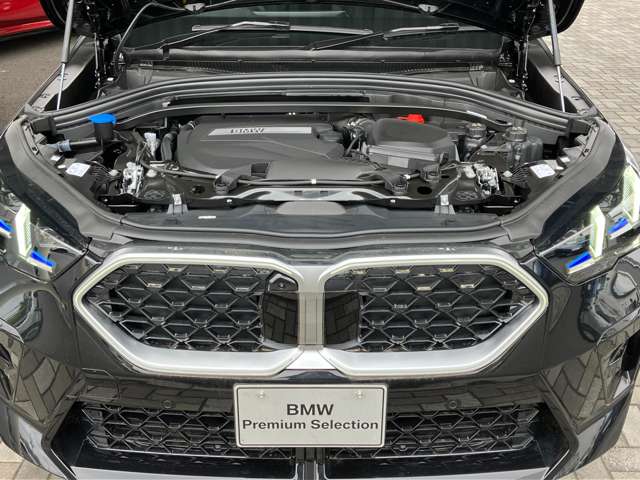 BMW X2 9