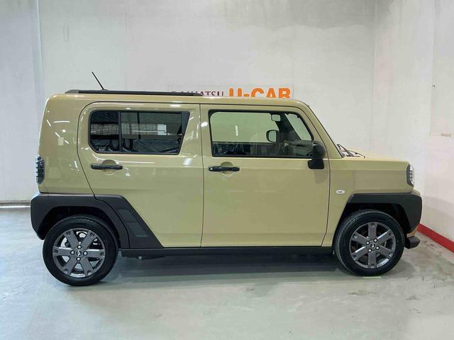 Daihatsu Taft 12