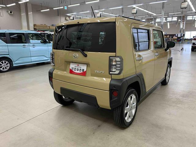 Daihatsu Taft 11