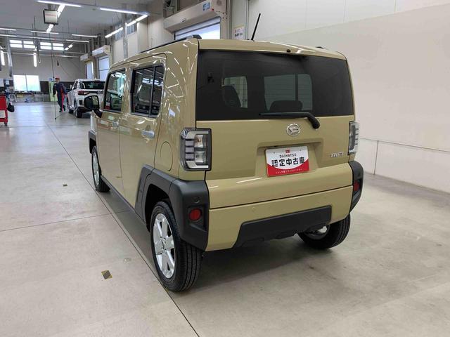 Daihatsu Taft 12