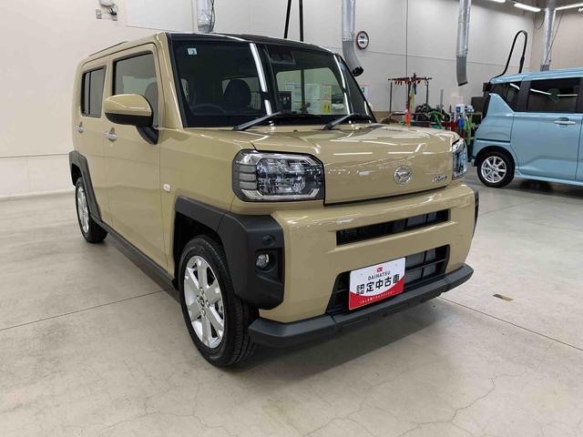 Daihatsu Taft 9