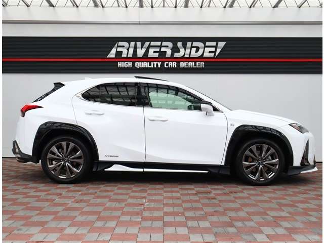Lexus UX 6