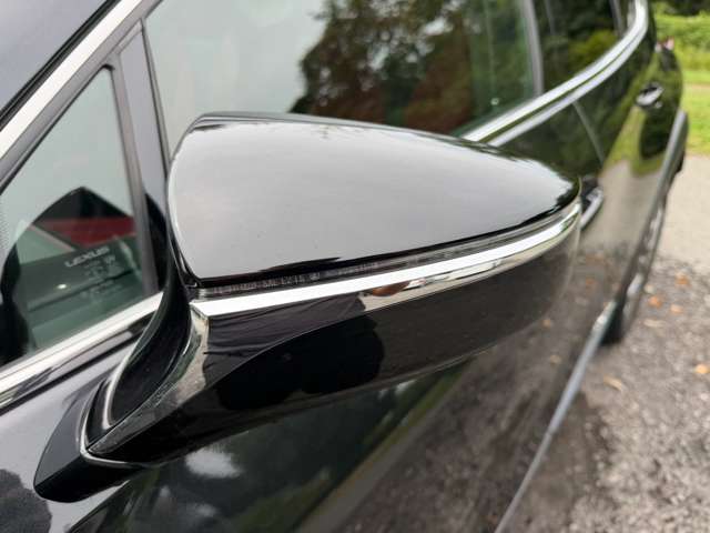 Lexus UX 12