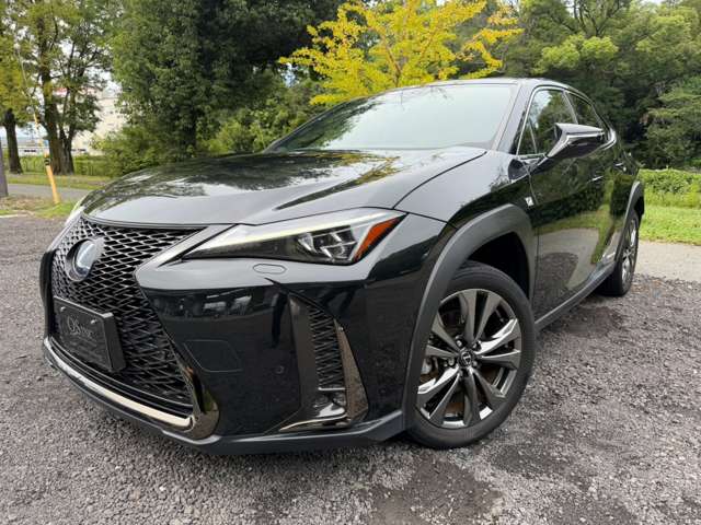 Lexus UX 9