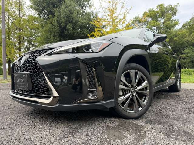Lexus UX 10