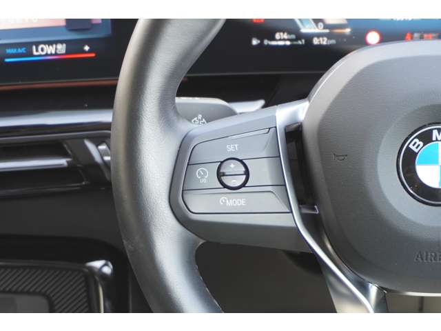 BMW X1 10