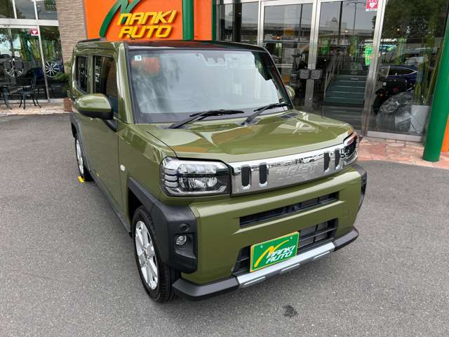 Daihatsu Taft 6