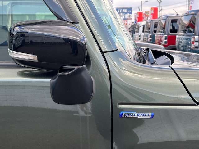 Suzuki Hustler 11