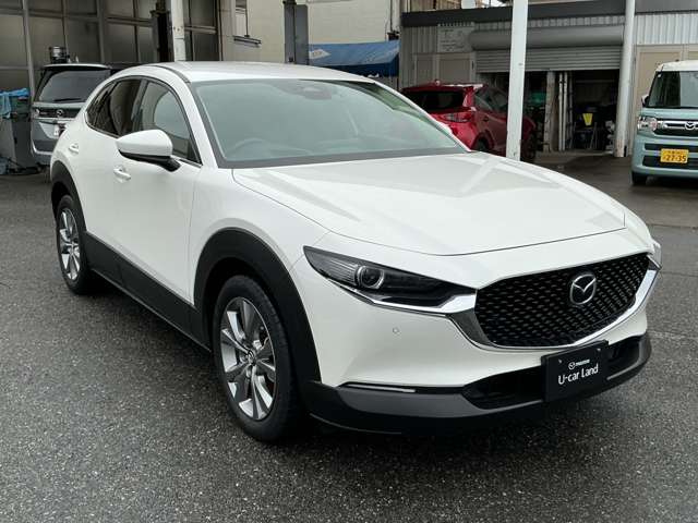 Mazda CX-30 11