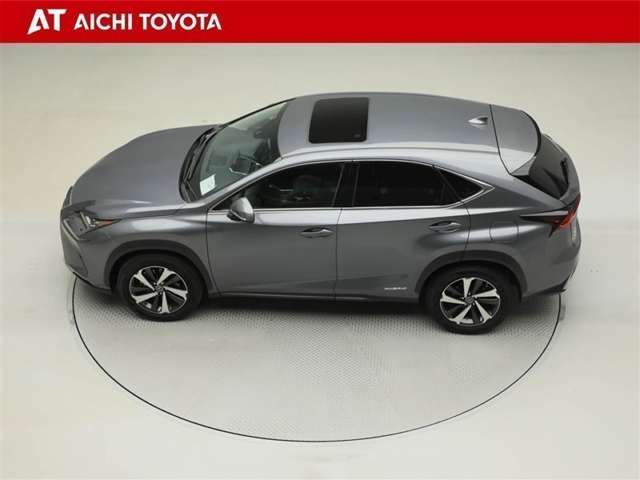Lexus NX 11