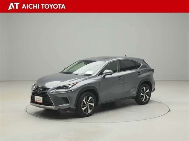 Lexus NX 2