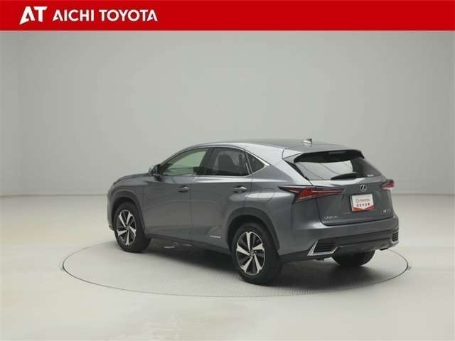 Lexus NX 4
