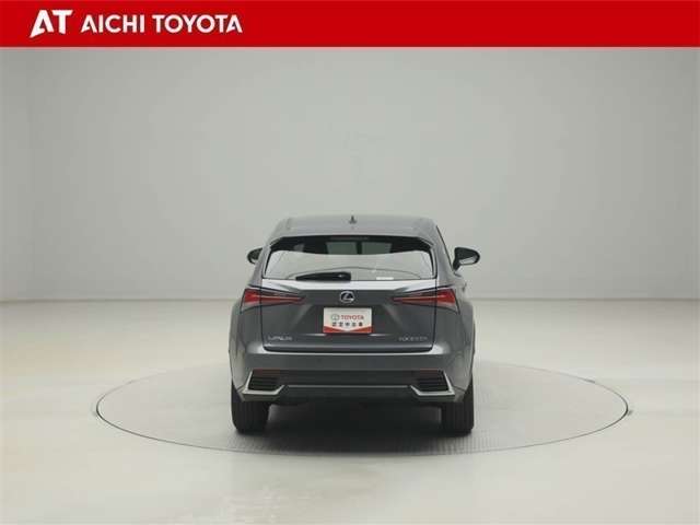 Lexus NX 5