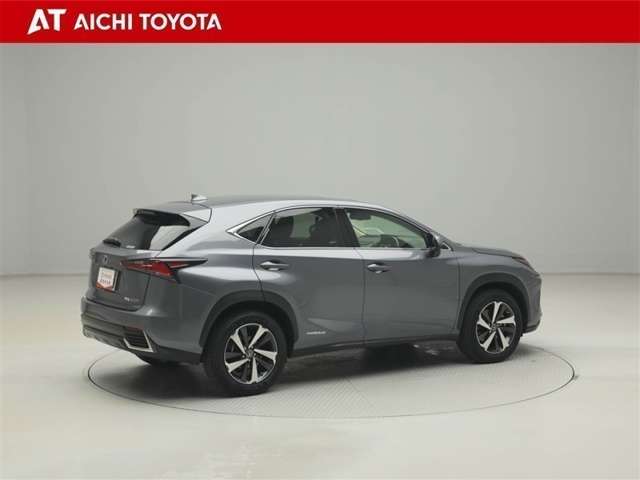 Lexus NX 6