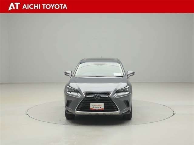 Lexus NX 9